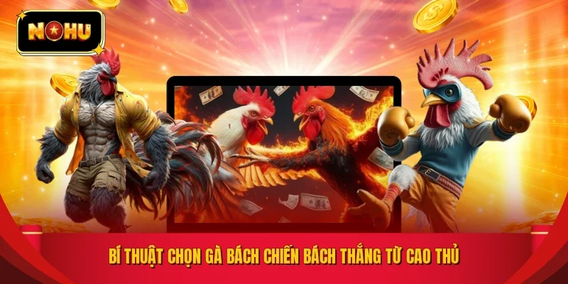 Bí thuật chọn gà bách chiến bách thắng từ cao thủ