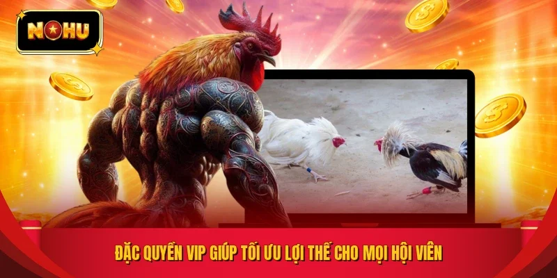 Đặc quyền VIP giúp tối ưu lợi thế cho mọi hội viên